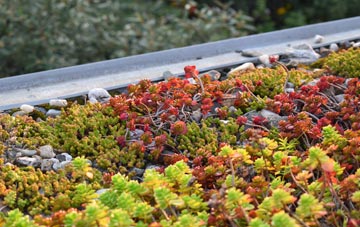 the cost of Bothamsall green roof installation