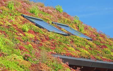 Bothamsall living roof systems